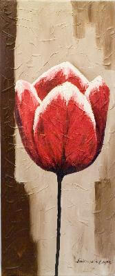 Tulipan, wymiary:40x100